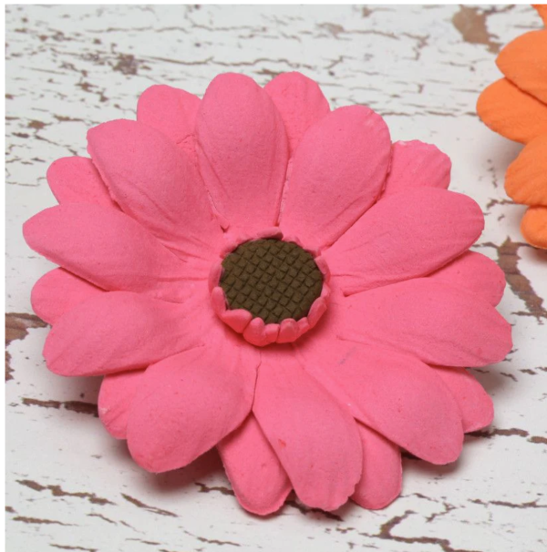 Gerbera Daisy Online