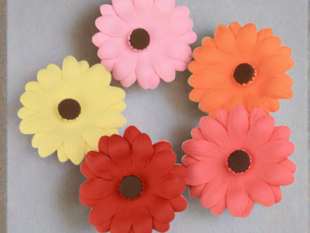 Gerbera Daisy Online