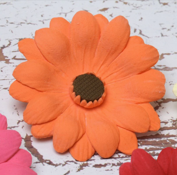 Gerbera Daisy Online