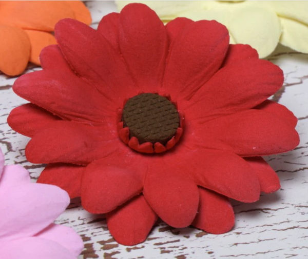 Gerbera Daisy Online