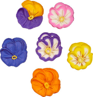 Pansies 1.75  Sale