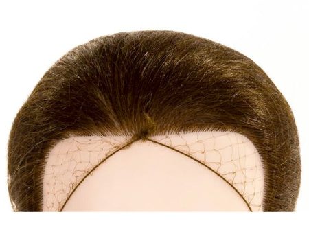 Lion Hair Net 2pk Light Brown Online now