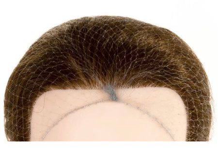 Lion Hair Net 2pk Grey Online Sale